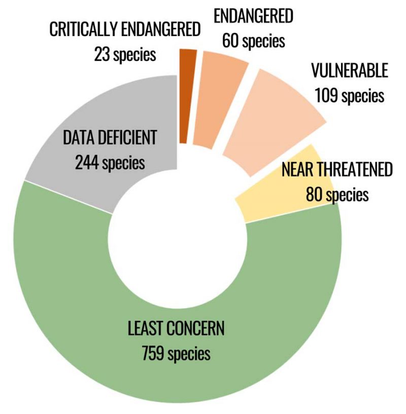Threats to bats The Urban Ecologist