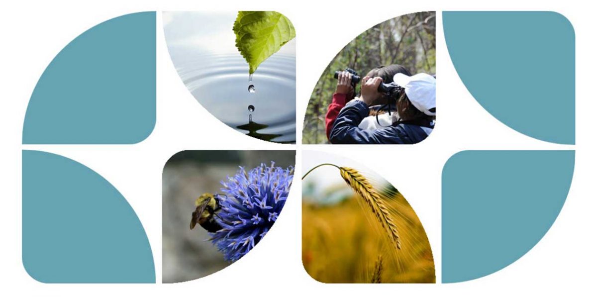 Picture of URBAN ECOSYSTEM SERVICES - The Urban Ecologist