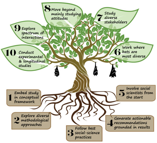 Blog - The Urban Ecologist